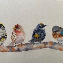 My project in Artistic Watercolor Techniques for Illustrating Birds course. Watercolor Painting project by Eileen Arthur - 02.25.2021
