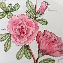 Mi Proyecto del curso: Cuaderno botánico en acuarela. Projekt z dziedziny Malowanie akwarelą użytkownika Eli Candiani - 26.02.2021