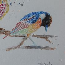 my final work. I learned a lot from this course. I enjoyed it! I look forward to applying everything I've learned to new projects.. Traditional illustration project by Isabel van Rossen - 03.13.2021