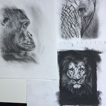 3 animal charcoal drawings. Desenho projeto de jaynek_wilson - 27.02.2021