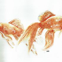 Proyecto final: peces. Fine Arts project by anikunigood - 02.27.2021
