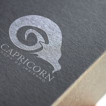 Proyecto de branding Capricorn. Communication, Logo Design, Editorial Illustration, Content Marketing, and Advertising project by Bryan Castillo - 02.27.2021