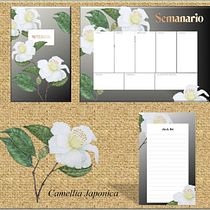 My project in Botanical Illustration with Watercolors course. Ilustração botânica projeto de kris_hill10 - 27.02.2021