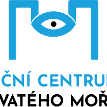 My project in Logo Design: From Concept to Presentation course EYE CENTER. Logo Design project by tomkos - 02.28.2021