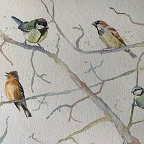 Songbirds in a walnut tree. Traditional illustration, Naturalistic Illustration, and Watercolor Painting project by Lindsay Redinger - 02.28.2021