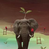 My project in Animated Collage with Adobe After Effects course. Un progetto di Animazione 2D di Ildiko Rohonka - 28.02.2021