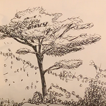 My project in Drawing for Beginners Level -1 course. Pencil Drawing, Drawing, Creating with Kids, and Sketchbook project by daria.ershova - 03.01.2021