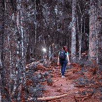 Into the Woods: Hiking Lovers. Photo Retouching, and Photographic Composition project by Tiago Canabarro - 03.01.2021