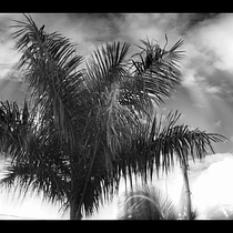 Mi Proyecto del curso: Introducción a la dirección de fotografía cinematográfica. Un proyecto de Cine, vídeo y televisión de Matias Ferreyra - 03.02.2021