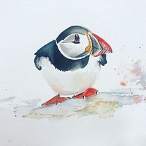 Mi Proyecto del curso: Acuarela artística para ilustración de aves. Watercolor Painting project by socorro Lopez - 03.02.2021
