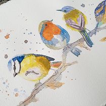 Meu projeto do curso: Técnicas expressivas de aquarela para ilustração de pássaros. Traditional illustration, Painting, and Watercolor Painting project by Mariel H. O. - 03.02.2021