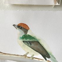 Mi Proyecto del curso: Acuarela artística para ilustración de aves. Artistic Drawing project by artemisa30 - 03.02.2021