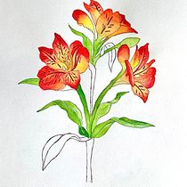 Mi Proyecto del curso: Acuarela botánica: ilustra la anatomía de las flores. Botanical Illustration, and Naturalistic Illustration project by Silvana Hernandez - 03.02.2021