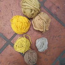 Mi Proyecto del curso: Teñido textil con pigmentos naturales. Tingimento têxtil projeto de Sandra Murad - 03.03.2021