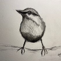 Artistic Watercolor Techniques for Illustrating Birds course: Projects. Watercolor Painting project by Niketa Mukherjee - 03.03.2021