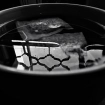 Mi Proyecto del curso: Introducción a la fotografía digital. Un projet de Photographie artistique de Luis Ángel Parra Esparza - 04.03.2021