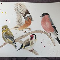 My project in Artistic Watercolor Techniques for Illustrating Birds course. Watercolor Painting project by ut52zny56i - 04.07.2021