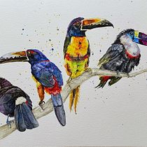 My project in Artistic Watercolor Techniques for Illustrating Birds course. Creativit, Fine Arts, Traditional illustration, Painting, Realistic Drawing, and Watercolor Painting project by Colette Reed - 03.04.2021