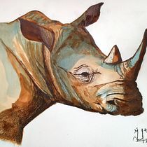 Mi Proyecto del curso: Rino. Design project by Mao San - 03.10.2021