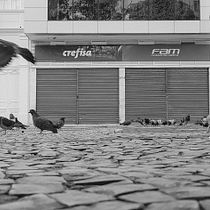 Meu projeto do curso: Introdução à fotografia de rua. Un projet de Photographie , et Photographie smartphone de Rodolpho Faiska - 06.03.2021