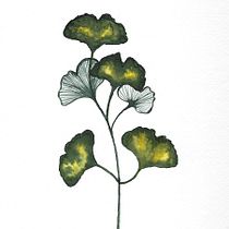 Mein Kursprojekt: Moderne Aquarelltechniken. Un progetto di Pittura ad acquerello di juliana_esterer - 06.03.2021