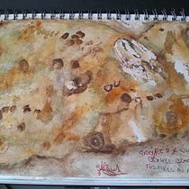 My project :- A Creative Exploration course. Naturalistic Illustration, Traditional illustration, Painting, Drawing, Watercolor Painting & Ink Illustration project by Suzanne Linch - 03.26.2021