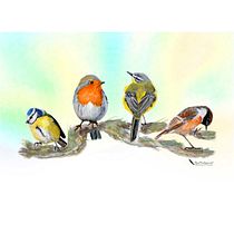 My project in Artistic Watercolor Techniques for Illustrating Birds course. Traditional illustration, Watercolor Painting, Realistic Drawing, and Naturalistic Illustration project by Ron Maliepaard - 05.16.2021