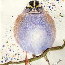 My project in Artistic Watercolor Techniques for Illustrating Birds course. Painting project by ritakoch16 - 03.07.2021