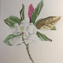 Mein Kursprojekt: Botanische Illustration mit Wasserfarben. Pintura em aquarela projeto de aohle - 07.03.2021