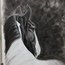 My project in Artistic Charcoal Portraiture: Creating Atmosphere coursea. Desenho artístico projeto de Ainsley McPherson - 08.03.2021