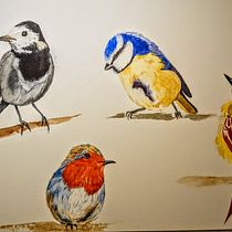My project in Artistic Watercolor Techniques for Illustrating Birds course. Watercolor Painting project by Anastasiia Slobodianiuk - 03.07.2021