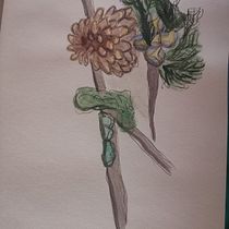 Mi Proyecto del curso: Cuaderno botánico en acuarela. Projekt z dziedziny  R i sunek użytkownika Mariana Quesada Rodríguez - 08.03.2021