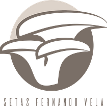 Mi Proyecto del curso: Creación de un logotipo original desde cero. Design, Br, ing, Identit, Graphic Design, and Logo Design project by Marina Vela Herranz - 11.01.2021