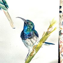 My project in Artistic Watercolor Techniques for Illustrating Birds course. Artistic Drawing, Creativit, and Watercolor Painting project by vivian - 03.10.2021