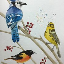 My project in Artistic Watercolor Techniques for Illustrating Birds course. Watercolor Painting project by jsferraro3 - 03.10.2021