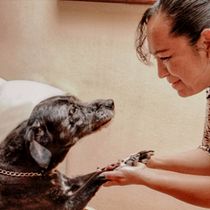 Mi Proyecto del curso: Fotografía lifestyle de perros. Un projet de Photographie smartphone de Diana Saucedo - 11.03.2021
