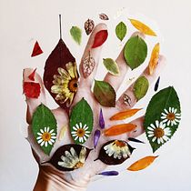 Mi Proyecto del curso: Técnicas básicas de prensado botánico. Un progetto di Artigianato, Belle arti, Collage e DIY di Alejandra Rivera - 11.03.2021