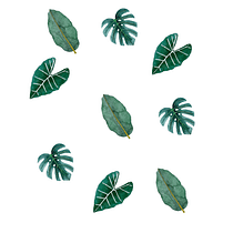 Mi Proyecto del curso: Acuarela botánica para estampados. Un progetto di Pattern design di Silvina Yaffe - 02.04.2021