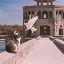 Meu projeto do curso: Segredos da fotomontagem e do retoque criativo. Photomontage project by Jadson Consolini - 03.29.2021