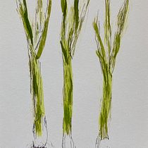 My project in Illustrating Nature: A Creative Exploration course. Watercolor Painting project by Denise Bull - 03.12.2021