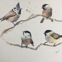 My project in Artistic Watercolor Techniques for Illustrating Birds course. Un proyecto de Ilustración tradicional y Pintura a la acuarela de rob eadie - 13.03.2021
