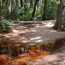 Paisagem com  reflexos no Rio vermelho. Fine Arts project by mc.lacerda - 03.14.2021