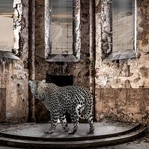 My project in Secrets of Photomontage and Creative Retouching course. Photomontage project by colamail66 - 03.14.2021
