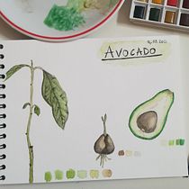Il mio progetto del corso: Album botanico ad acquerello. Projekt z dziedziny Malowanie akwarelą użytkownika sofiates - 14.03.2021