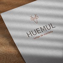 Mi Proyecto del curso: Diseño de logotipos: síntesis gráfica y minimalismo. Design project by ariadnatolli - 03.31.2021