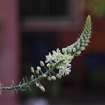 Mi Proyecto del curso: Guía práctica para aprender a manejar tu cámara digital desde cero. Un projet de Photographie de fernando.azpiaza - 15.03.2021