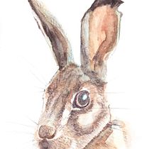 My project in Experimental Watercolor Techniques for Beginners course. Pencil Drawing, and Watercolor Painting project by rolita - 04.17.2021