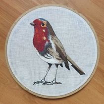Meu projeto do curso: Pintar com linha: técnicas de ilustração têxtil. Embroider project by Lívia Fernandes Bomfim - 03.16.2021