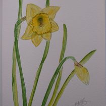 My project in Botanical Watercolor: Illustrate the Anatomy of Flowers course. Un progetto di Pittura ad acquerello di sarah.addy - 17.03.2021