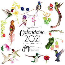 Calendario 2021 Colibríes. Ilustração naturalista, e Pintura em aquarela projeto de Juana Patiño Zabala - 17.03.2021
